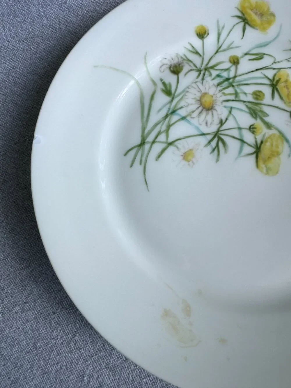 Haviland Limoges Floral Plates – Antique French Porcelain